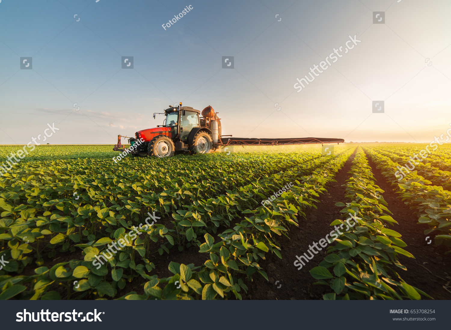stock-photo-tractor-spraying-pesticides-on-soybean-field-with-sprayer-at-spring-653708254